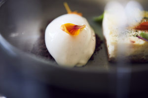 Sorbet